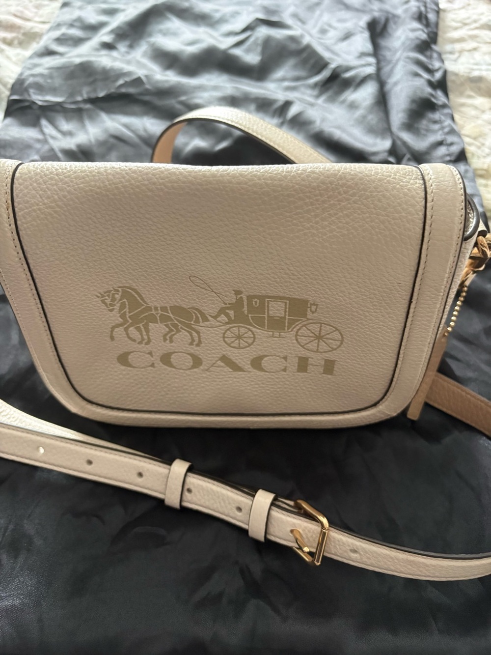 Coach Chalk Pebbled Leather Signature Saddle Bag
